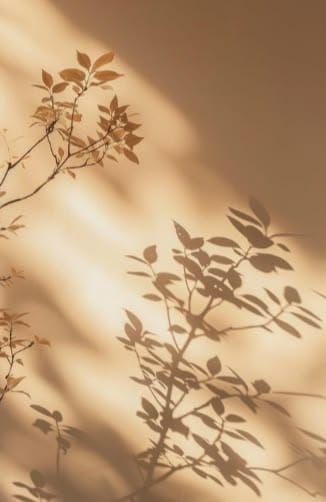 Neuropsicologia